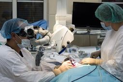 Хирургическое отделение для взрослых 4 Хирургическое отделение для взрослых 4