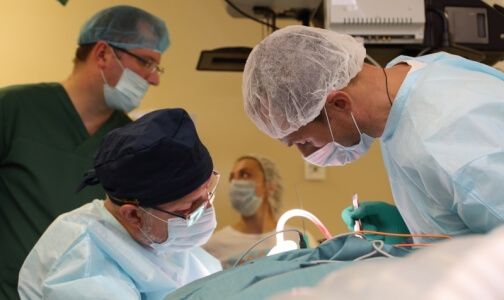 Стволомозговая слуховая имплантация Стволомозговая слуховая имплантация